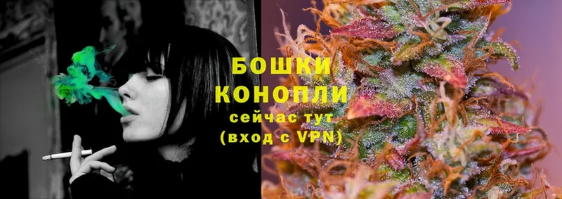 цена наркотик  Кунгур  Бошки Шишки Ganja 